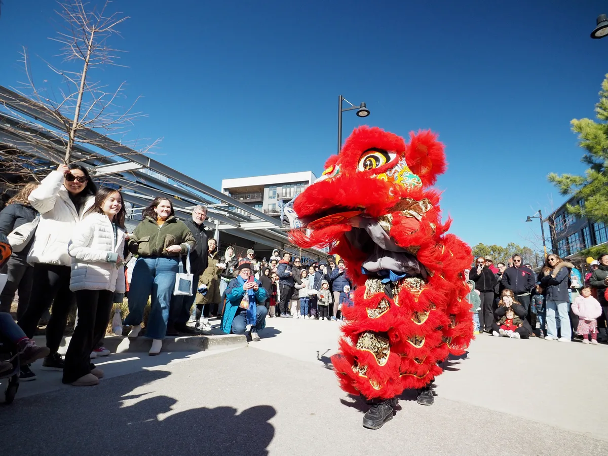 Lunar New Year photograph 22